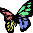 Butterfly Logo